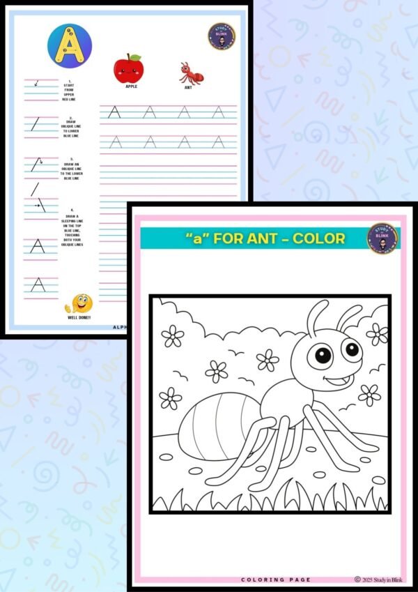 Alphabet ABC & activity book - 3 to 6 years - Image 3